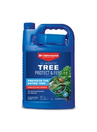 12 Month Tree Protect &amp; Feed Concentrate-1 Gallon
